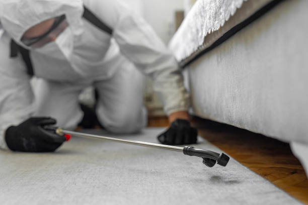 Professional Bed Bug Control technician working in Milford, IA